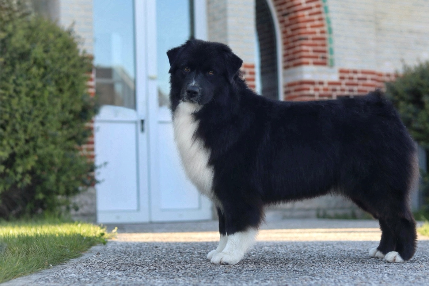 A last want Aux Mille éclats D'Aphrodite