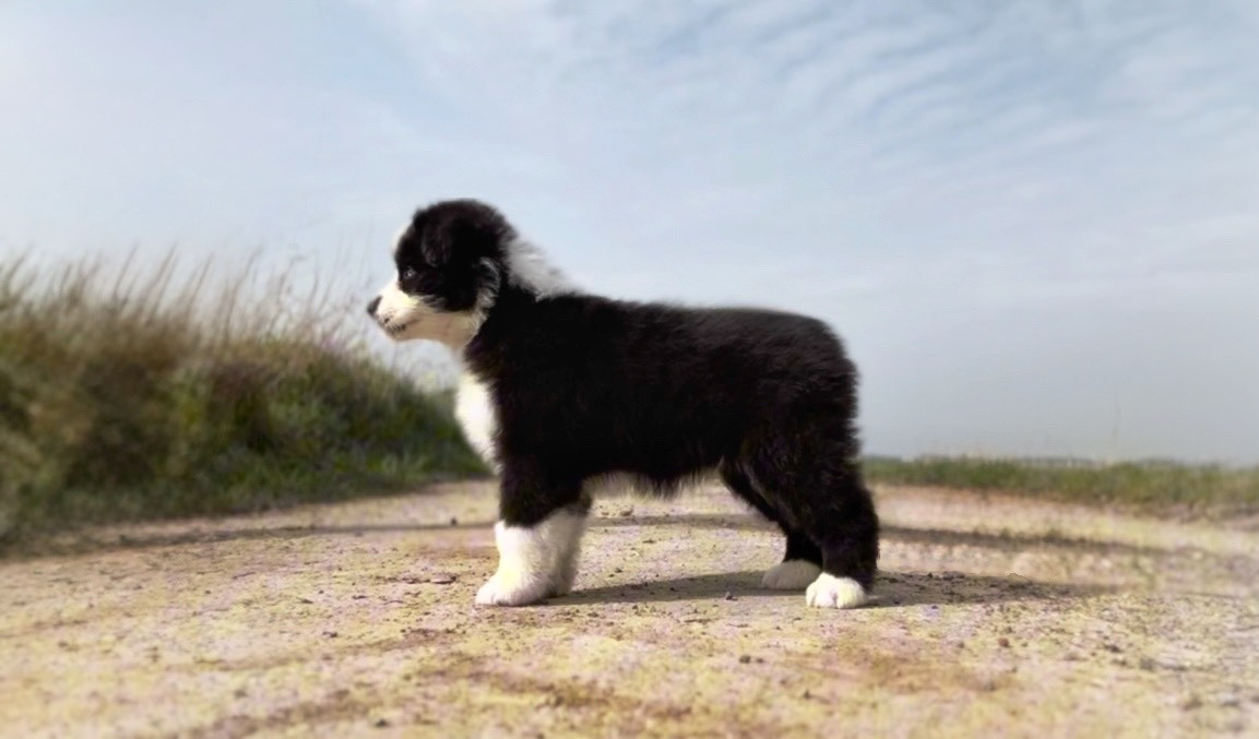 Bomb Twerk Please Aux Mille éclats D'Aphrodite