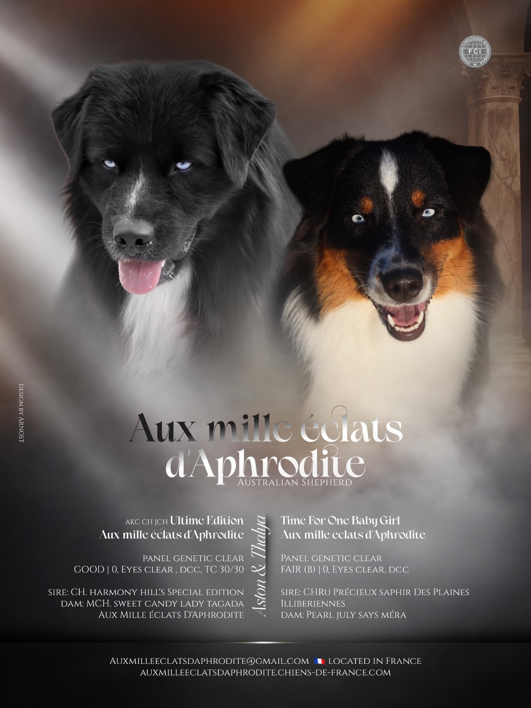 Aux Mille éclats D'Aphrodite - Berger Australien - Portée née le 13/05/2026